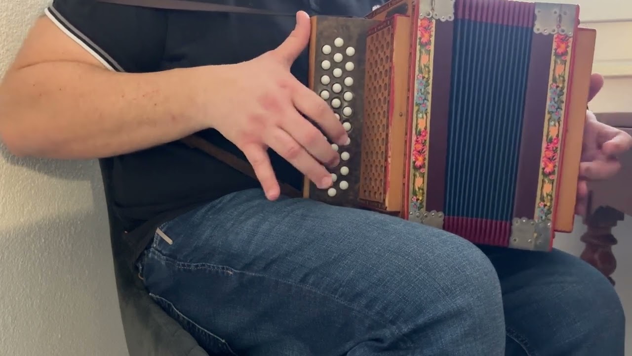 Josias Jenny / en gmüetliche /ländler / schwyzerörgeli 