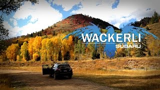 Wackerli Subaru Serving Southeast Idaho And Beyond.