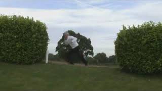 Higglytown Heroes Wedding