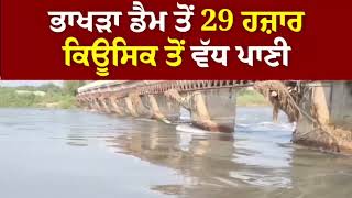 ਭਾਖੜਾ ਡੈਮ ਵਿੱਚ ਪਾਣੀ ਦਾ ਪੱਧਰ ਵਧਿਆ।bhakhda dam vich water level up
