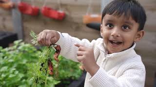 Inspire Early Learning Journey – Sustainability Education/Program (6 Months – 6 Years Old). screenshot 4