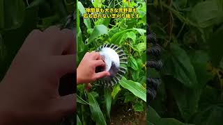 隙間草も大きな荒野草も、石も恐れない芝刈り機です、速いだけでなく、仕上がりもきれい。