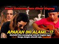 Bagaimana bisa alip ba ta melakukan seluruh bagian lagu hanya dengan akustik saja