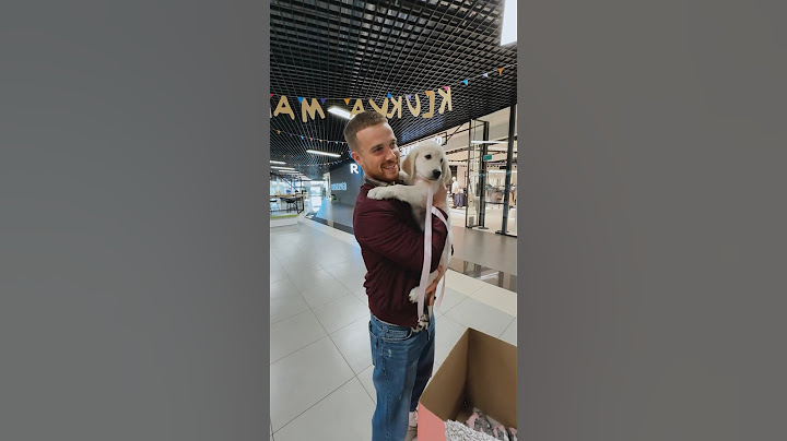 Ничего МИЛЕЕ вы уже не увидите.