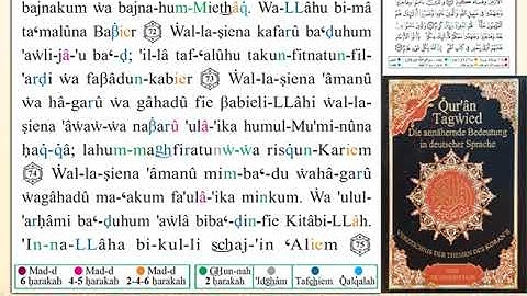 ختمة من مصحف التجويد باللغة الألمانية الصفحة رقم 186