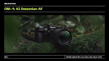 OM-1 & OM-1 Mark II: AI Detection AF