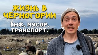 картинка: Реальная Жизнь в Черногории: Откровенно о Плюсах и Минусах (ч.3)