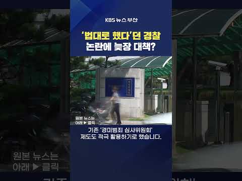 #<strong>발달장애인</strong> #경찰 아이스크림 특수절도 부실수사 경미범죄 심사위원회 김옥천기자