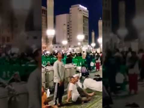 ما اجمل المدينه المنوره