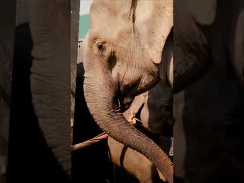 Https Www Instagram Com Reel DRGmf6UkzJA Igsh EXE5d3ZraTE3NTFk