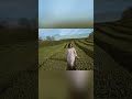 Dreaming Heart 3 - Dayvid Fitz,  Melody Relaxa (snip 2) #shorts