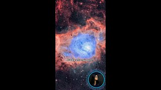 What Reality Looks Like If Infinite Multiverses Are Real