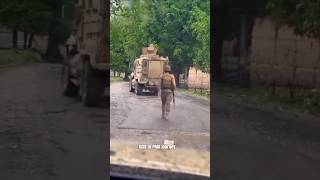 Pak Army Heroes🇵🇰. #shorts #ispr #pma #geonews #arynews
