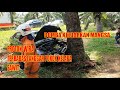 BOMBA KELUARKAN 2  MANGSA TERSEPIT LANGGAR POKOK KELAPA SAWIT /  PART 1