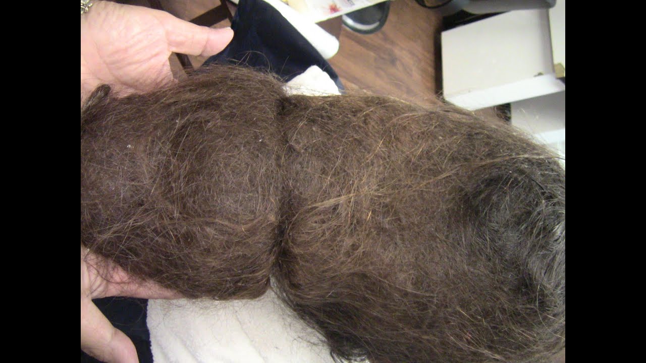 Untangle Severely Matted Hair How To Untangle Severely Matted Hair 