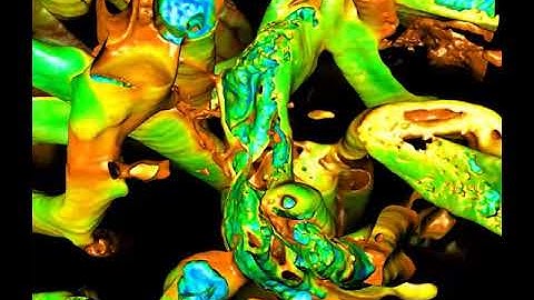 Animation of biological data from cryo FIB SEM