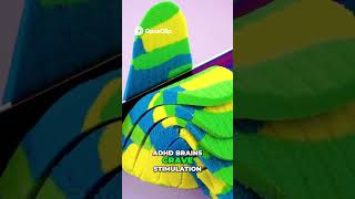 ADHD Isn’t What You Think… (The Truth Will Surprise You)