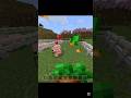 Minecraft 💀 #shorts #minecraft