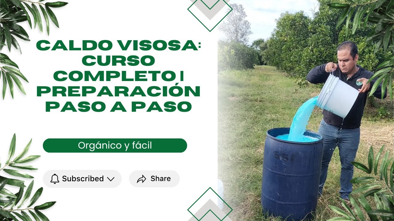 Caldo Visosa: Curso Completo | Preparación Profesional Paso a Paso 🌿