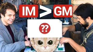 What Mittens Thinks of Coffee Chess