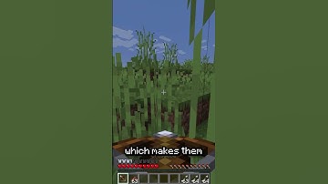 Crossbow or Bow? #minecraft #pvp #shorts