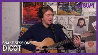 DICOT I SNAKE SESSIONS LIVE@WSUM