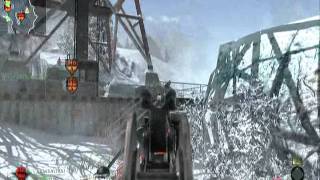COD Black Ops sweetvine domination Array 22-5 Attack dog Galil w/Suppressor