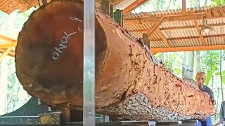 Download Lagu The beauty radiates in this wood, the process of sawing large logs MP3