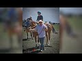El León Resurado Video En Vivo Colorado