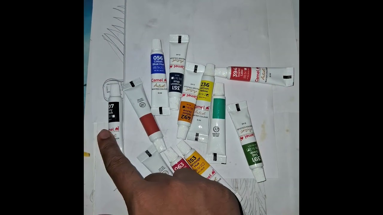 Best Budget Colour For expert to Student  