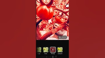 OnePlus 11R After oxygen 15 update 🔥 photo editing ✅ #oneplus #oxygen #15 #update