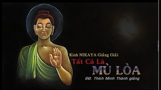 Kinh NIKAYA Giảng Giải - Tất Cả Là MÙ LÒA - ĐĐ. Thích Minh Thành