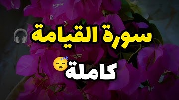 أجمل تلاوة ممكن تسمعها🎧😴 سورة القيامة كاملة || القارئ محمد عبد المجيد