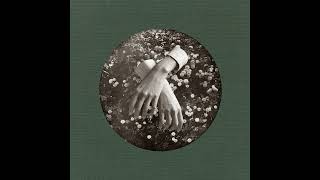 aspidistrafly A Little Fable レコード LP A LITTLE FABLE | ASPIDISTRAFLY