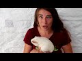 Beginning of video