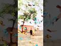 mote bhal pau thibu #shortsviral #youtubeshorts #explorepage #odisha