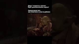 Сеньор разработчик на дейлике