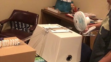 AP Physics 1 Rube Goldberg Machine