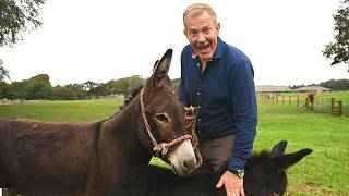 We've Got Two NEW Foals | Let's Take Them For A Walk