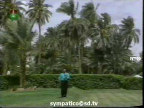 الجيلي الشيخ يا مولاي