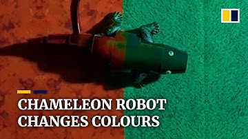 Artificial skin that changes colours like a chameleon created by South Korean scientists