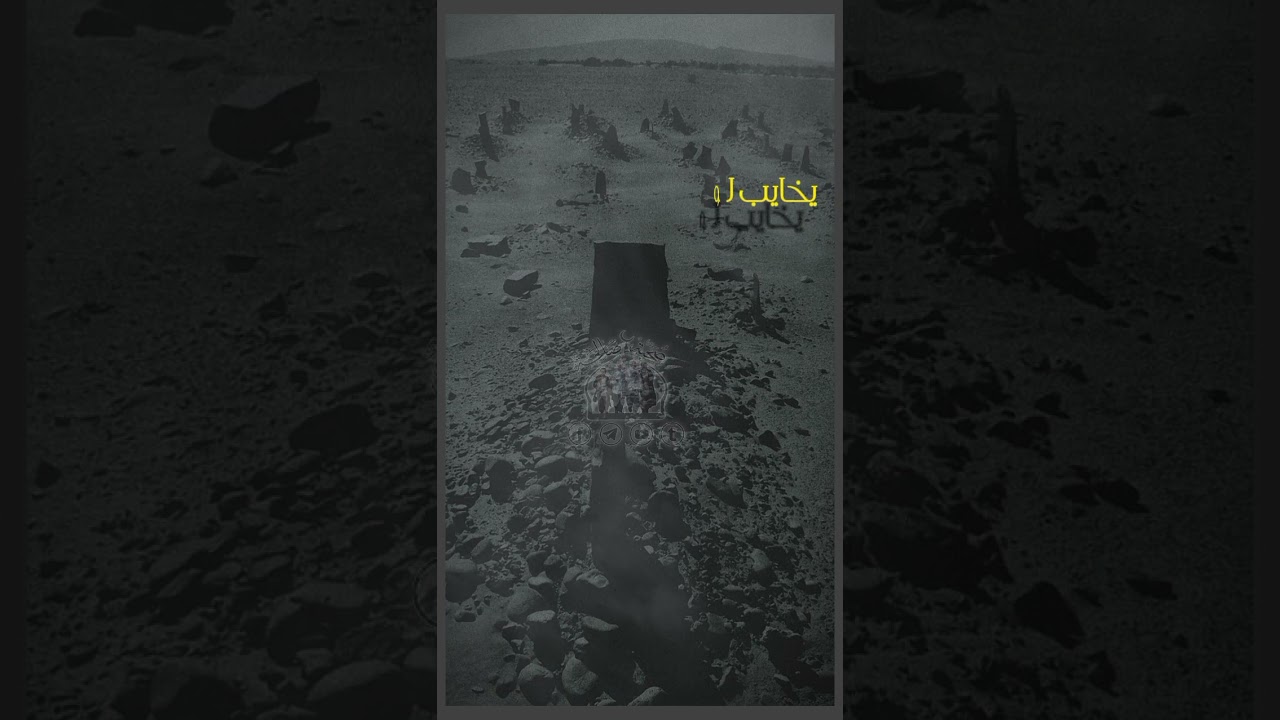 يصندوق العمل مامش عمل عندي | سيد احمد المعماري ابو ملاك