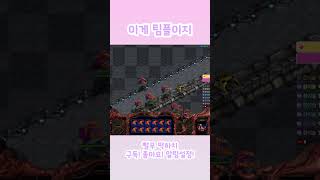 이게 팀플이지 #스타크래프트 #빨무