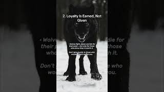 The hunting principle every wolf follows #wolves #survival