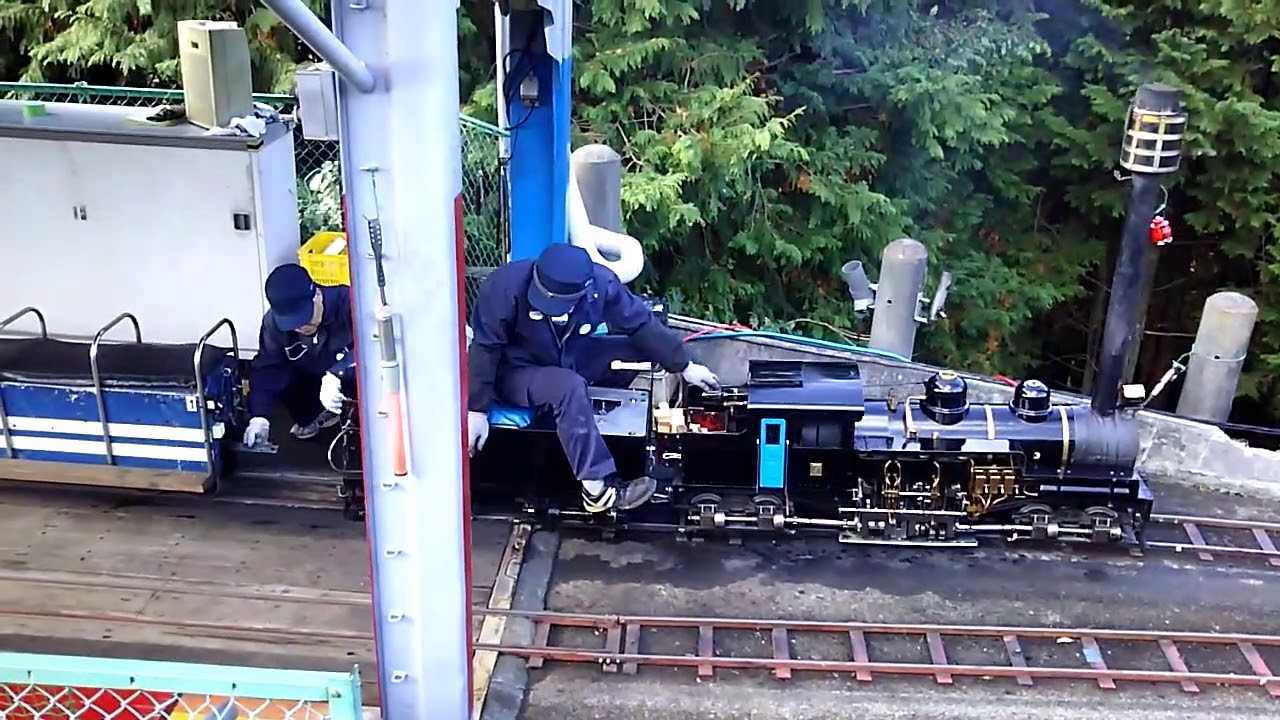 シェイ式蒸気機関車が走るミニ登山鉄道】併用軌道、80‰急勾配