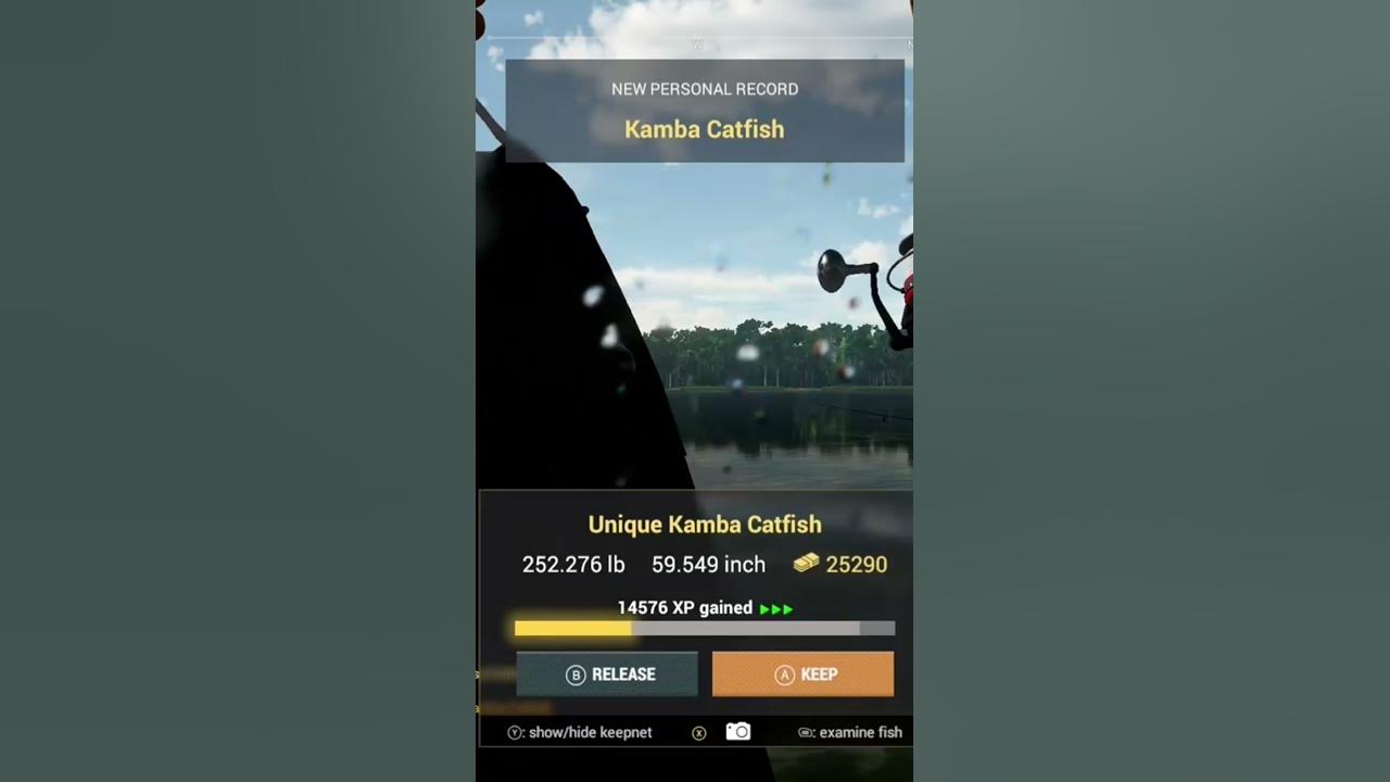 252 lb. Unique Kamba Catfish Fishing Planet - YouTube