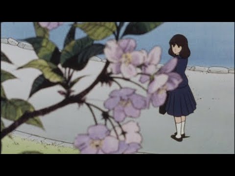 Chibi Maruko Chan Yume Ippai Slowed 𝒓𝒆𝒗𝒆𝒓𝒃 