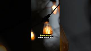 Bunu Biliyor muydun? (Şaşırtıcı Gerçekler Serisi) #kredikartı #viral #deniz #kredikartı #izle