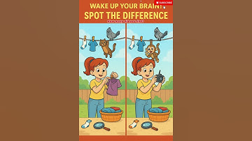 👕 Spot the Difference | Monkey on the Clothesline