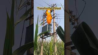 #technician #ElectricalSafety #reels #electrician #Lineman #uruttu #shortvideo #short #trending 12